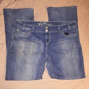 GONE SOON💕Wallflower